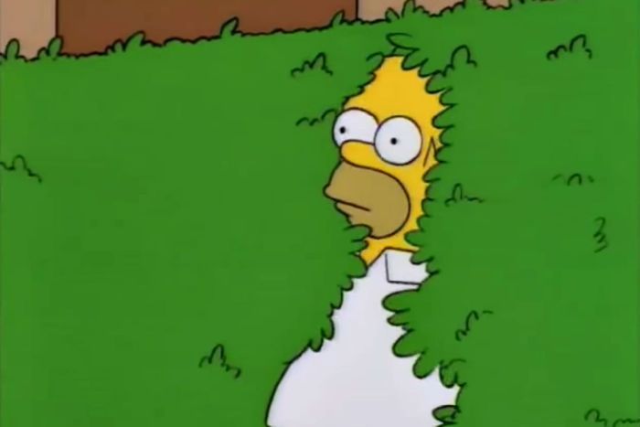 homer disappears into bush meme template