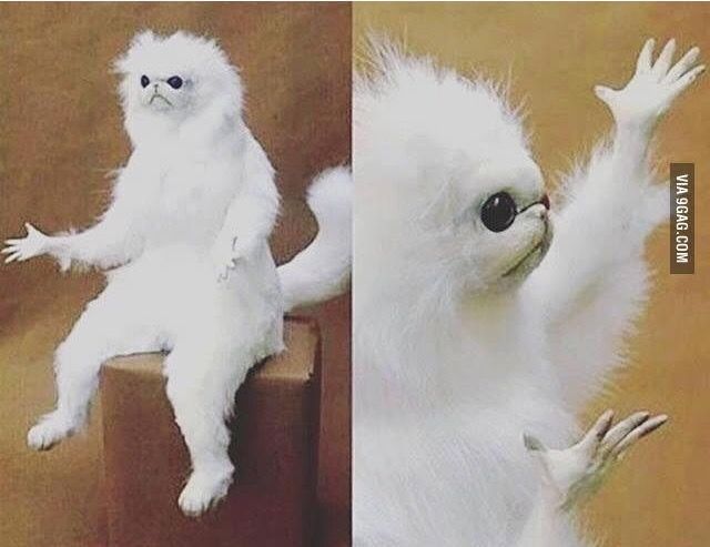 confused monkey meme template