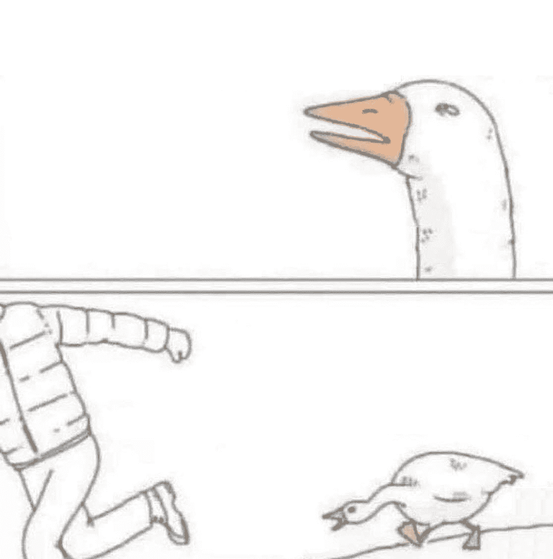 goose chase meme template