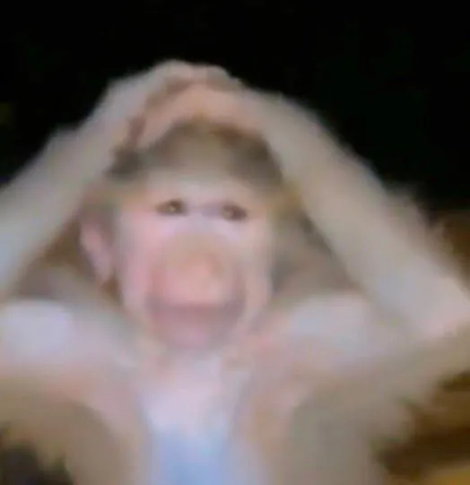 Ch*d gaye guru meme template