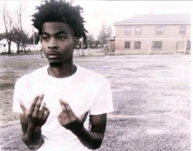 sybaufree meme template