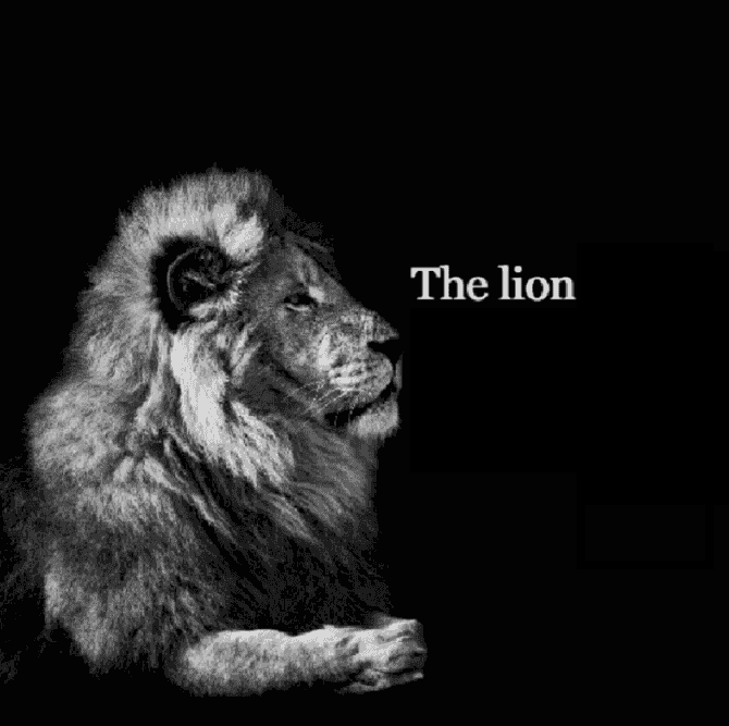 theliontiktoktemplate meme template