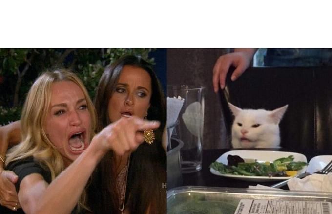 woman-yelling-at-cat