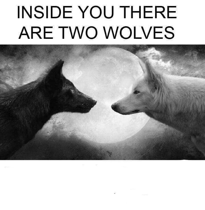 inside you there are two wolves meme template